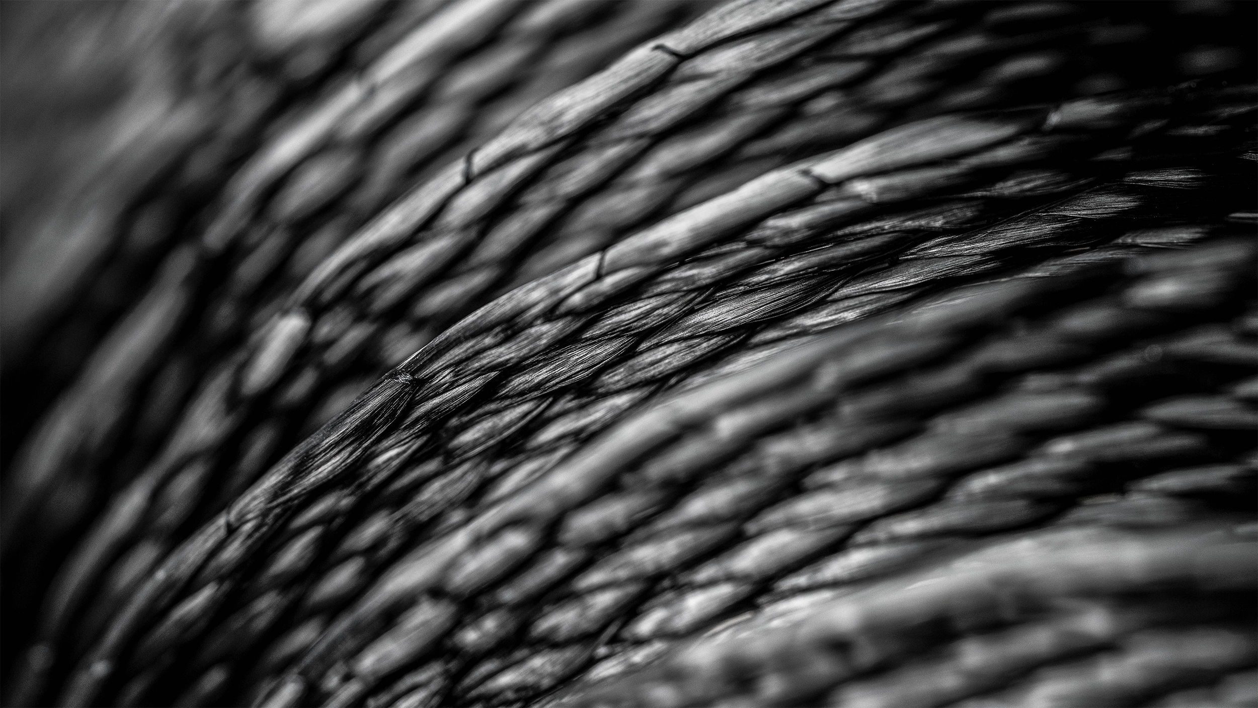 Composite Textiles, Carbon-Spiralgewebe, C34, (Nahaufnahme) – Spiralbänder für den Maschinenbau | vombaur GmbH Verflochtenes, matt-schwarzes Textilmaterial mit dichten, gedrehten Strängen. Parallel verlaufend, teils überkreuzt.
